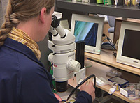 Decorative photo of a Mary Burrows using a microscope