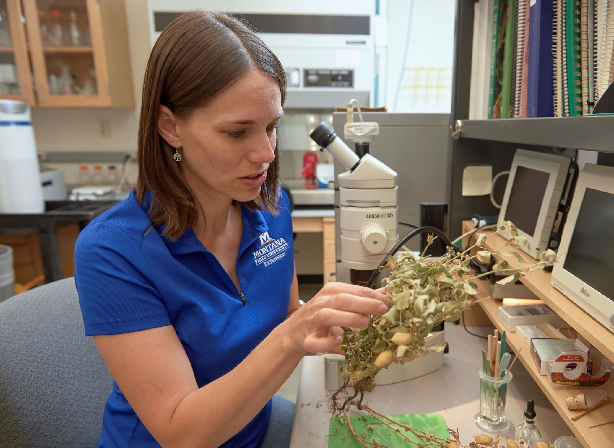 Dr. Uta McKelvy assessing a plant at a microscope